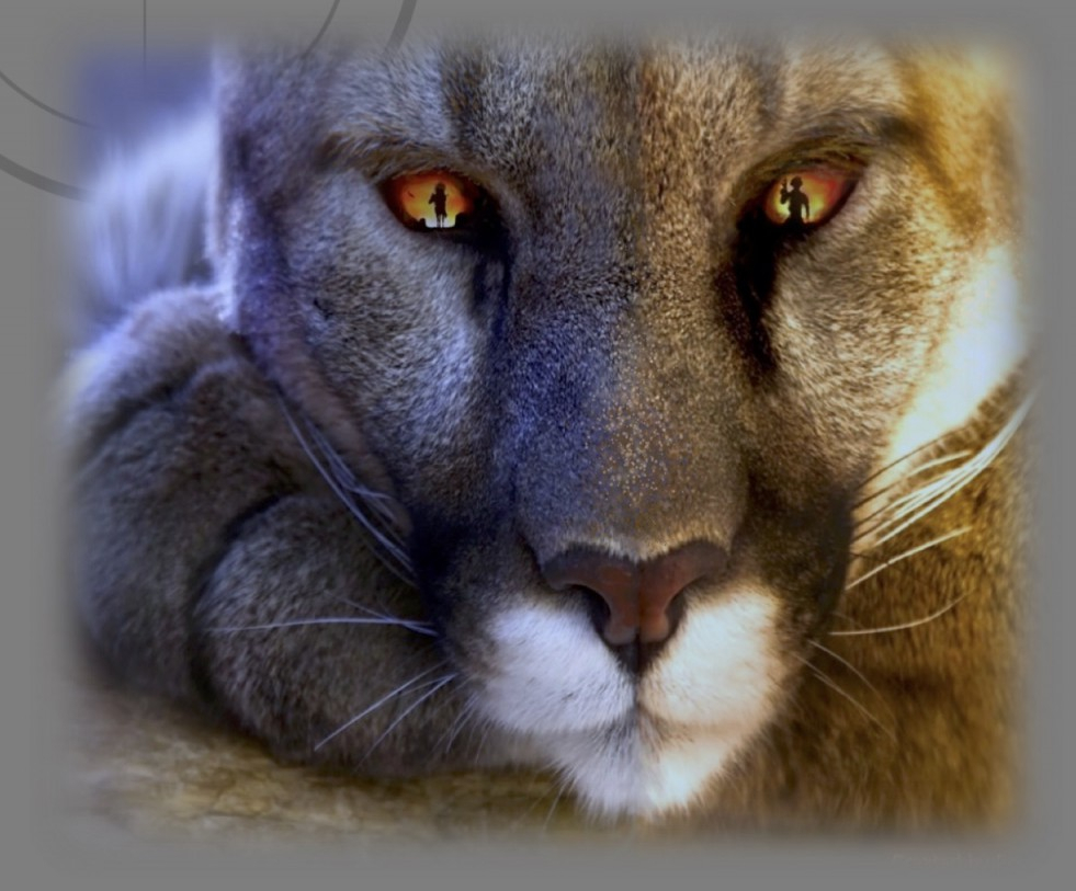 “Romero knew he was on his&nbsp;own.”